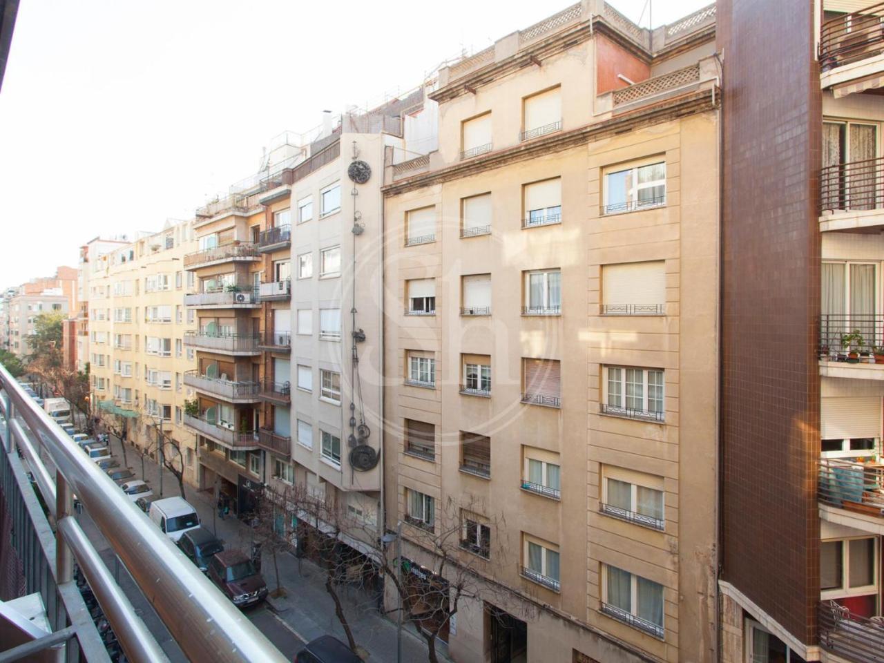 Madrazo *